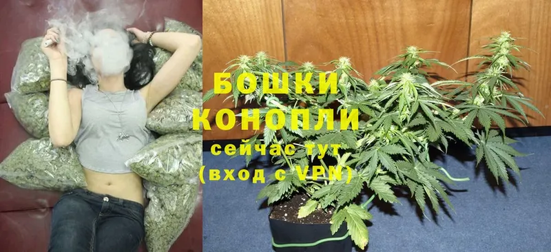 Бошки Шишки THC 21%  Волгоград 